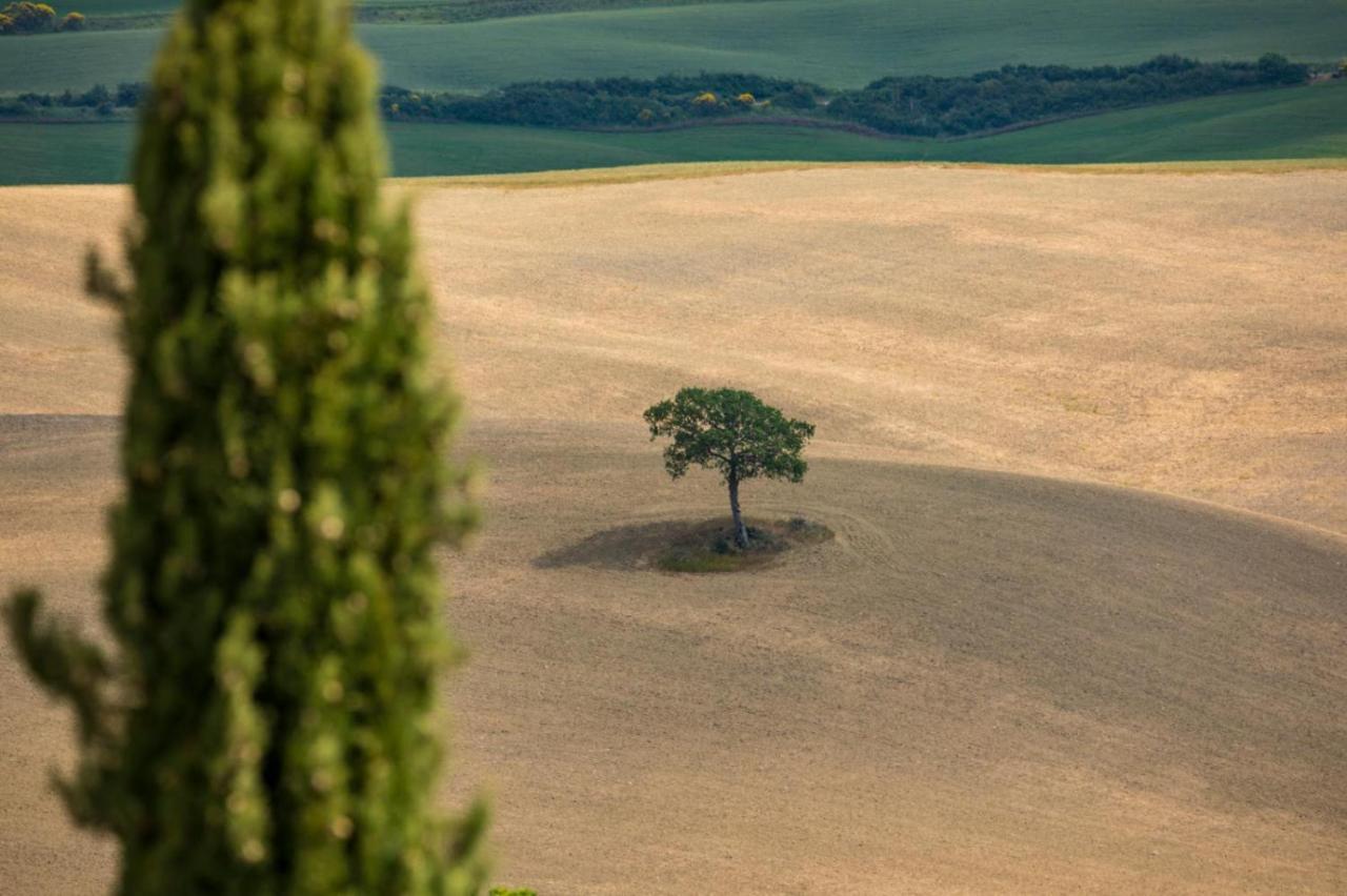 Agriturismo La Poderina บาโญวีโญนี ภายนอก รูปภาพ